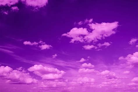 violet sky|Violet Sky